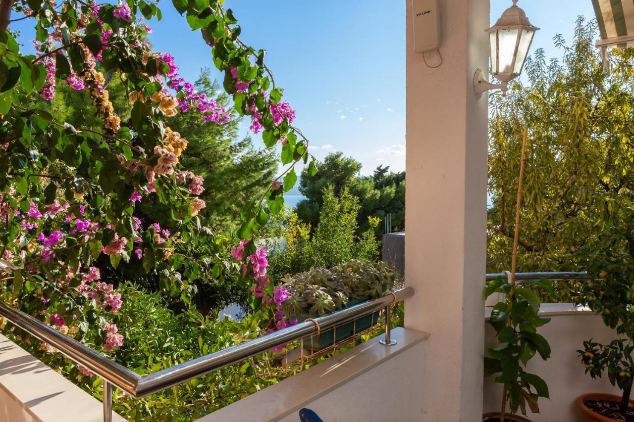 Villa Marko Stanici Dış mekan fotoğraf